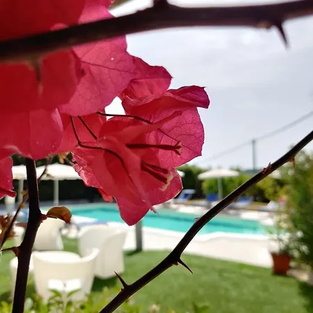 Tanca Hotel 3*