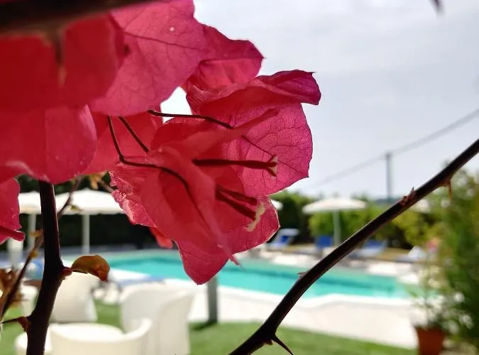 Tanca Hotel 3*
